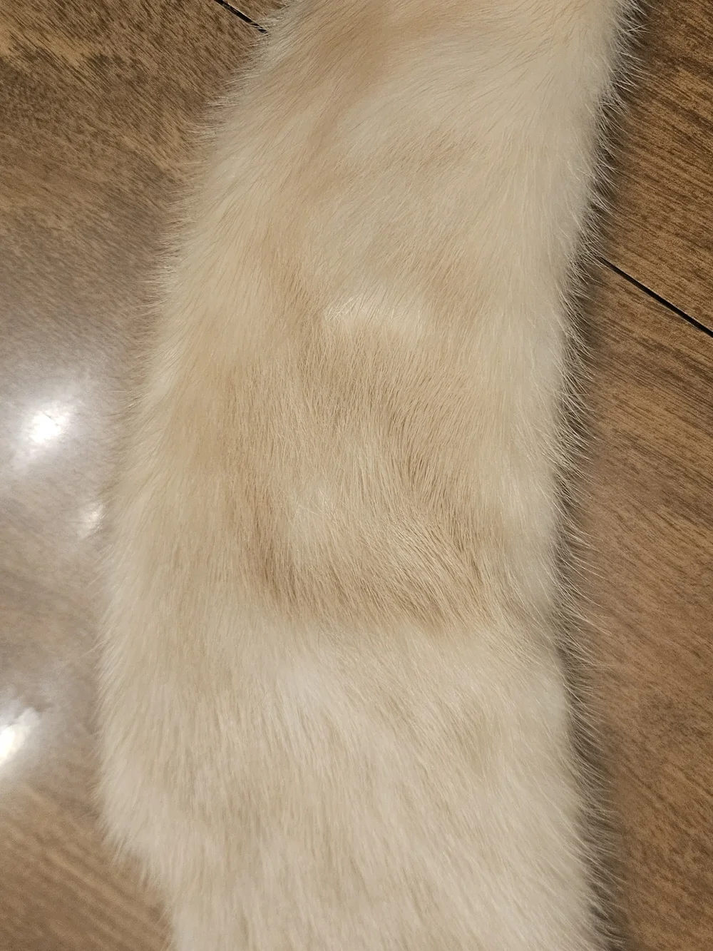 Champagne Beige Rabbit Fur Collar Scarf